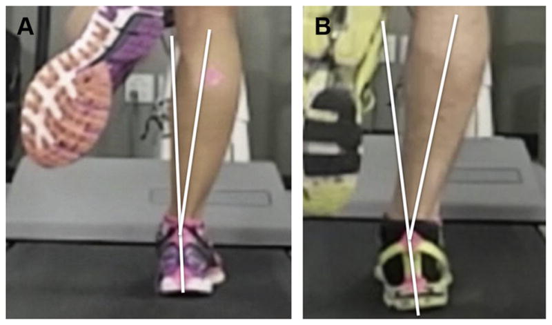 Fig. 10