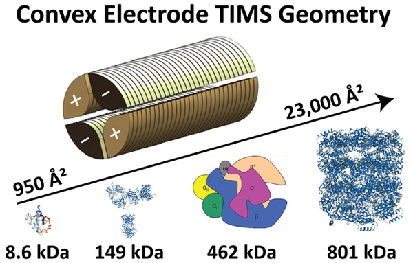 graphic file with name nihms-1725917-f0001.jpg