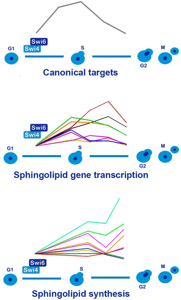 graphic file with name nihms-1709778-f0008.jpg