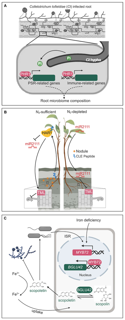 Figure 3.