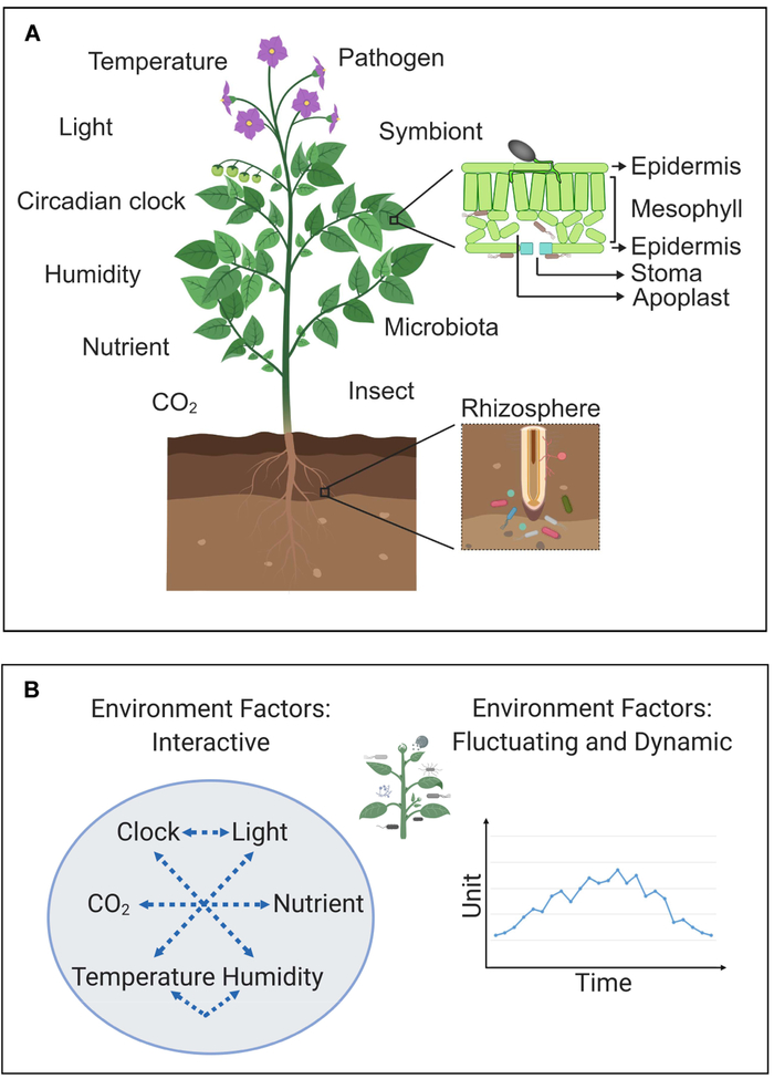 Figure 1.