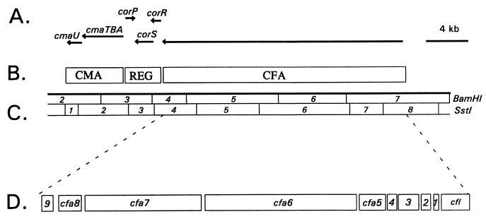 FIG. 6