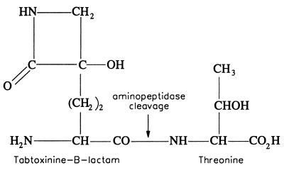 FIG. 11