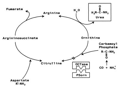 FIG. 14