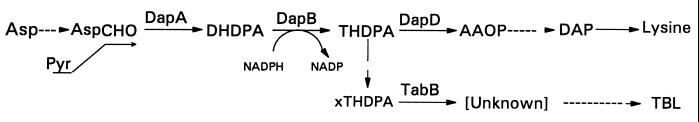 FIG. 12