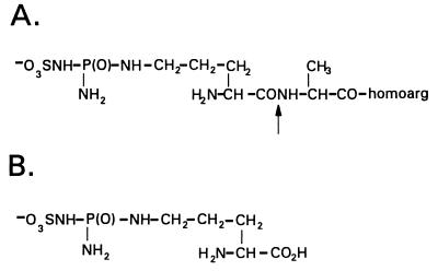 FIG. 13