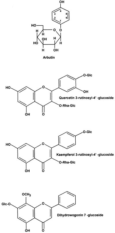 FIG. 9