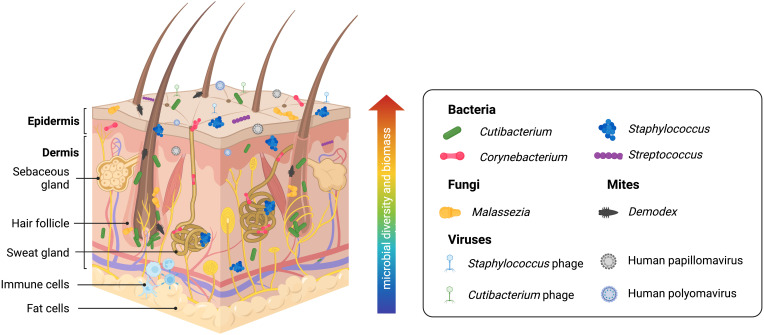 Figure 2