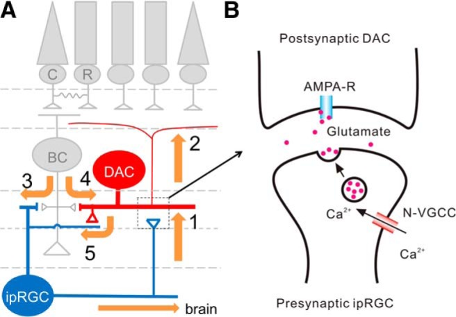 Figure 10.