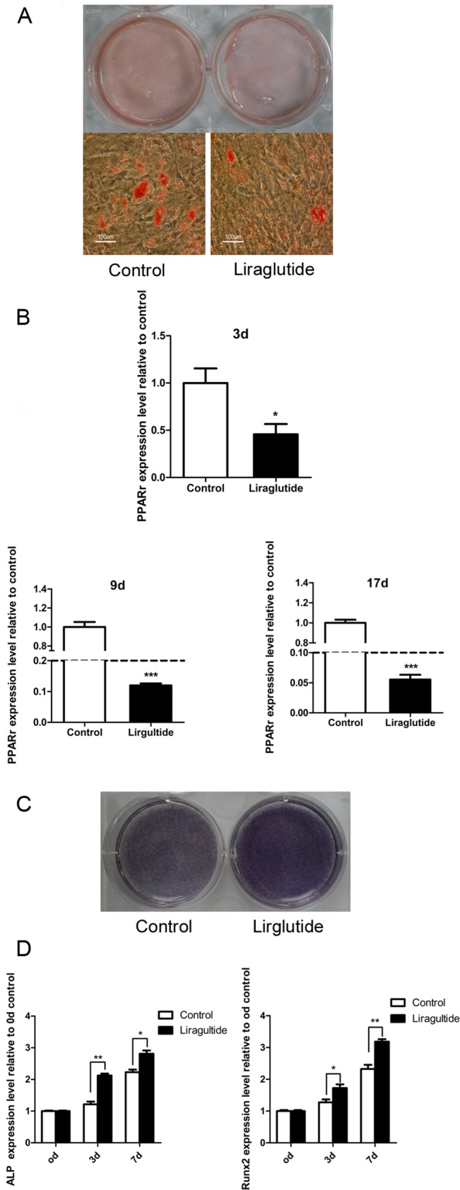 Fig 5