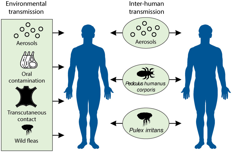 FIG 4