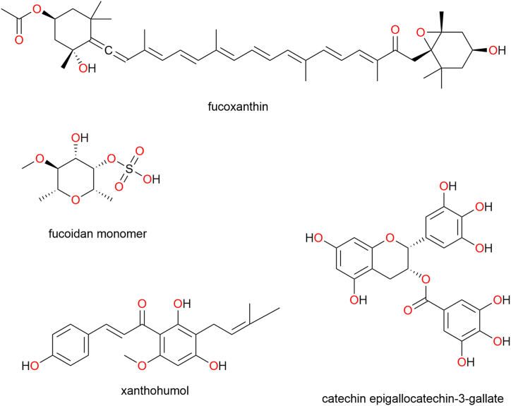 Fig. 7