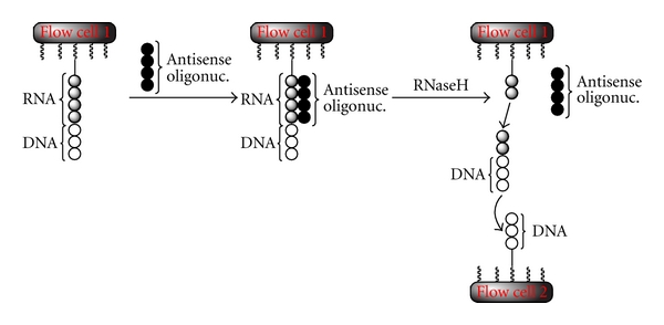 Figure 9