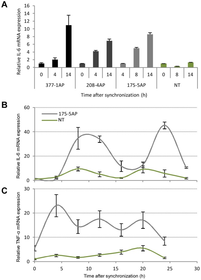 Figure 5