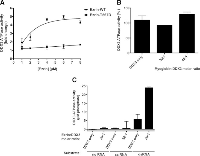 FIG 8