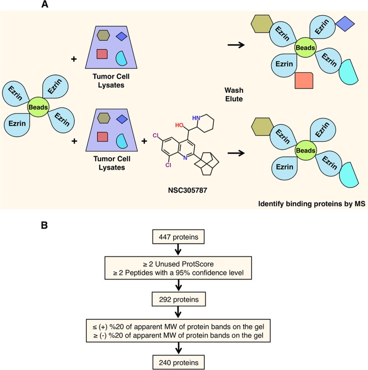 FIG 1