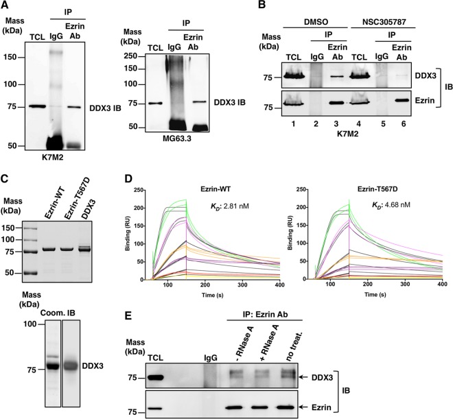 FIG 2