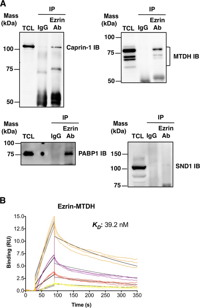 FIG 4