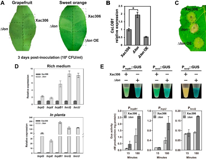 FIG 2 