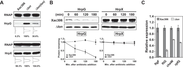 FIG 3 