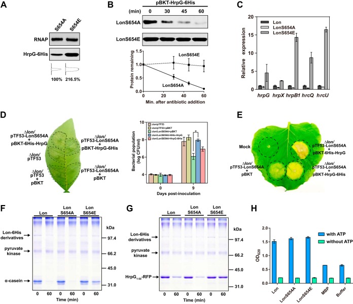 FIG 6 