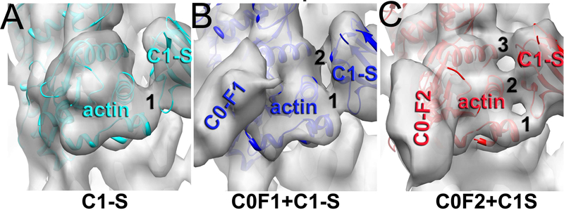 Figure 4.