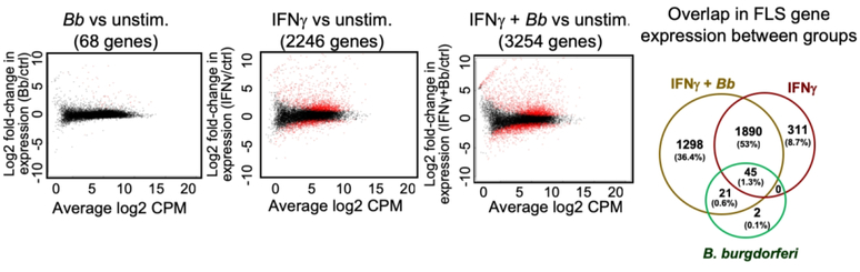 Fig 4: