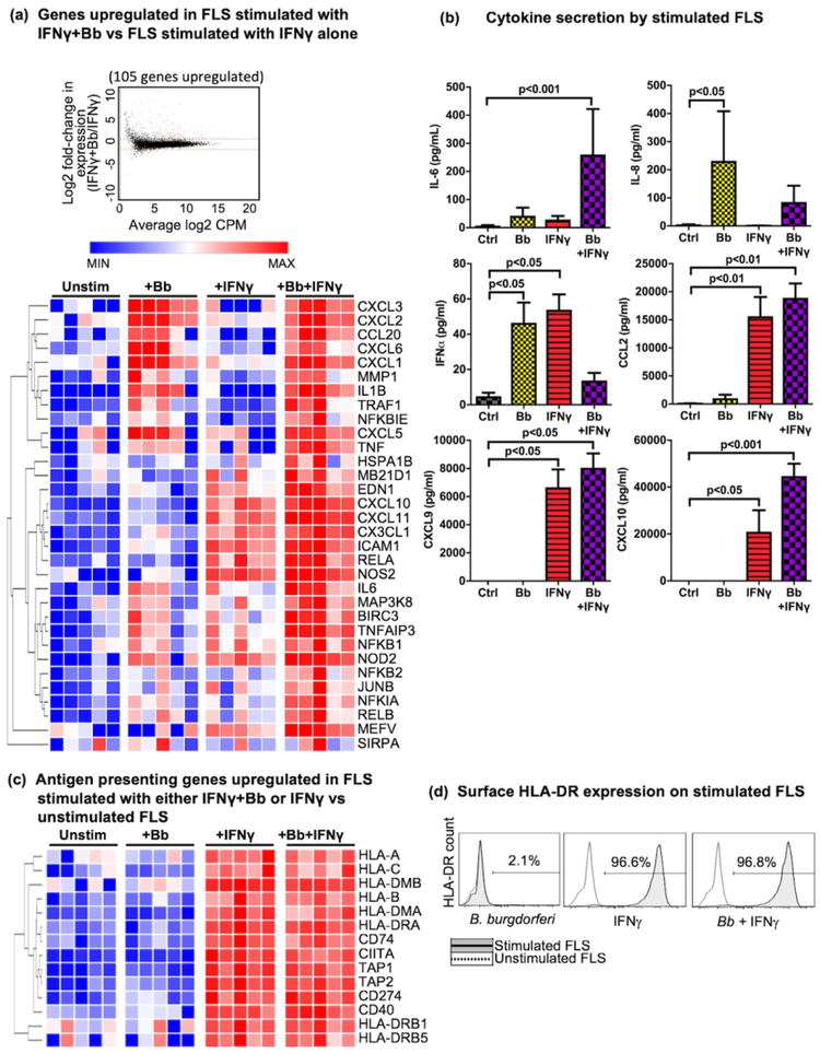 Fig 6: