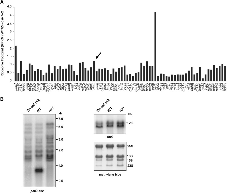 Figure 9.