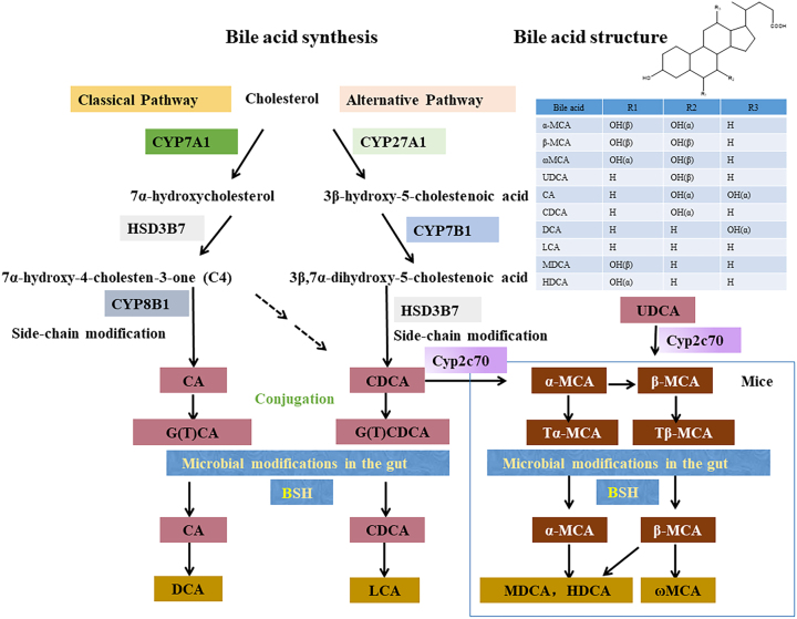 Figure 1: