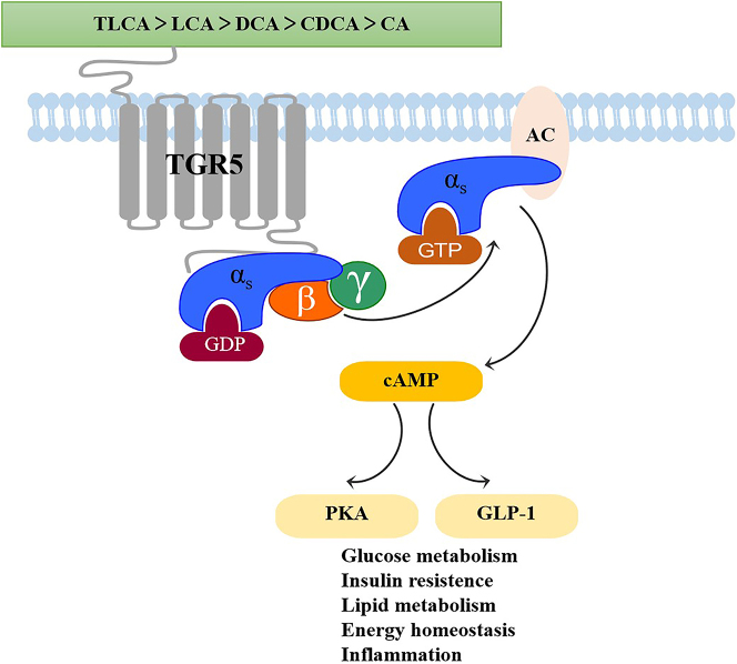 Figure 6: