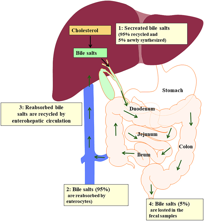 Figure 2: