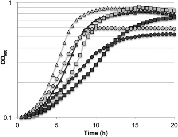 FIG 3