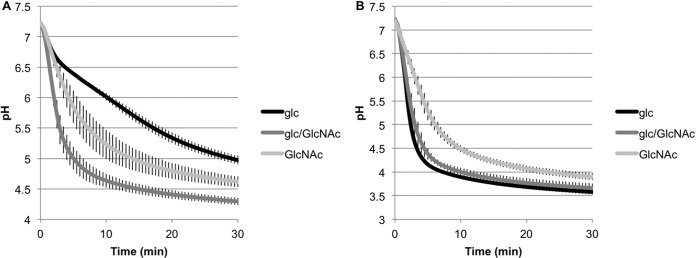 FIG 4