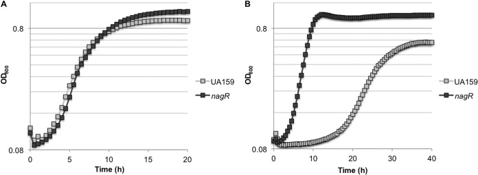 FIG 6