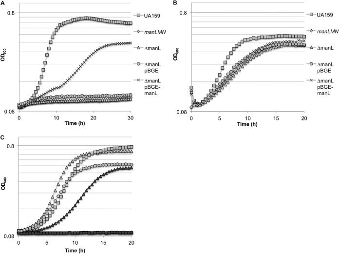 FIG 1