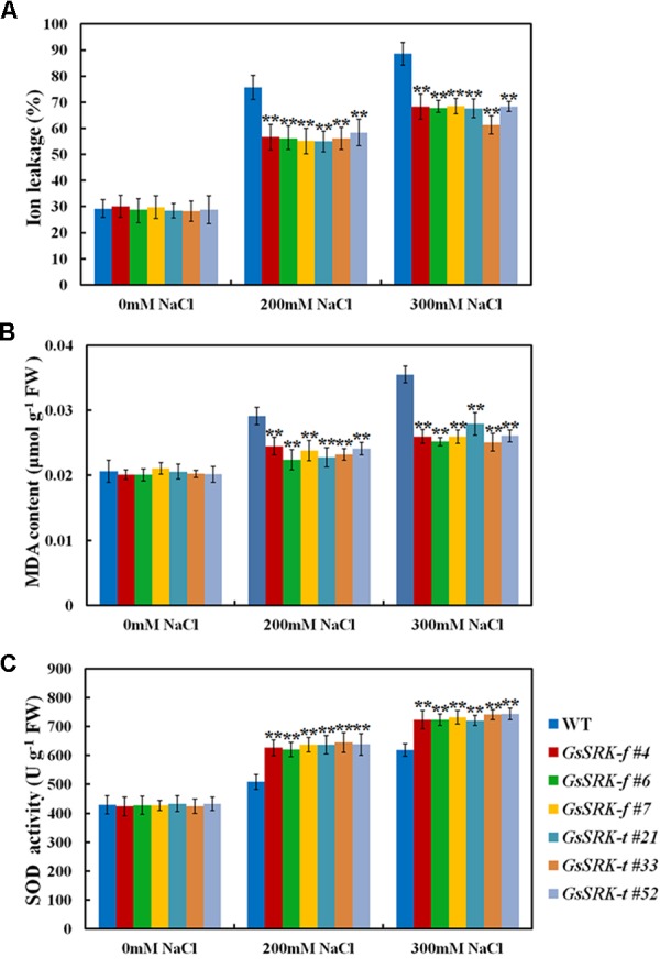 FIGURE 6