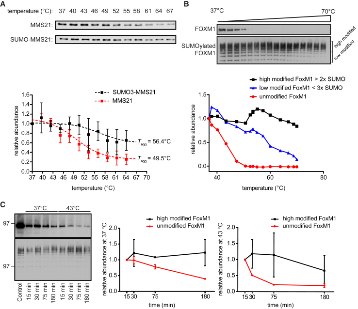 Figure 6