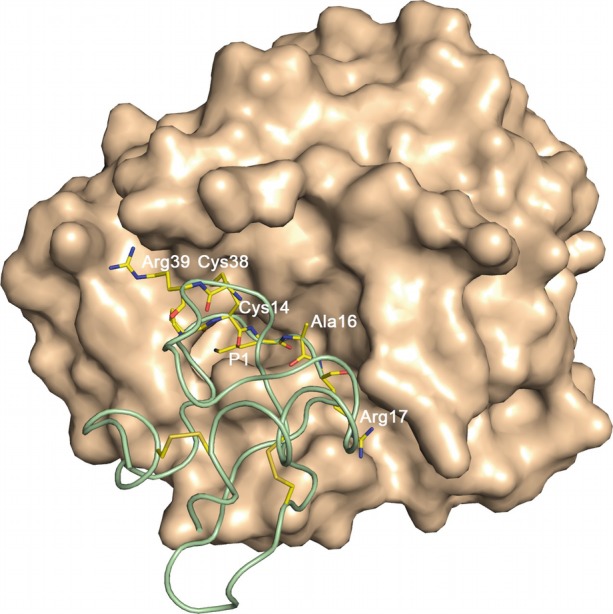 Fig. 11.1