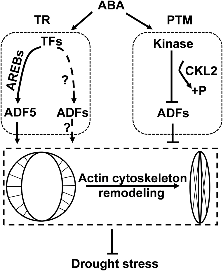 Fig. 8.