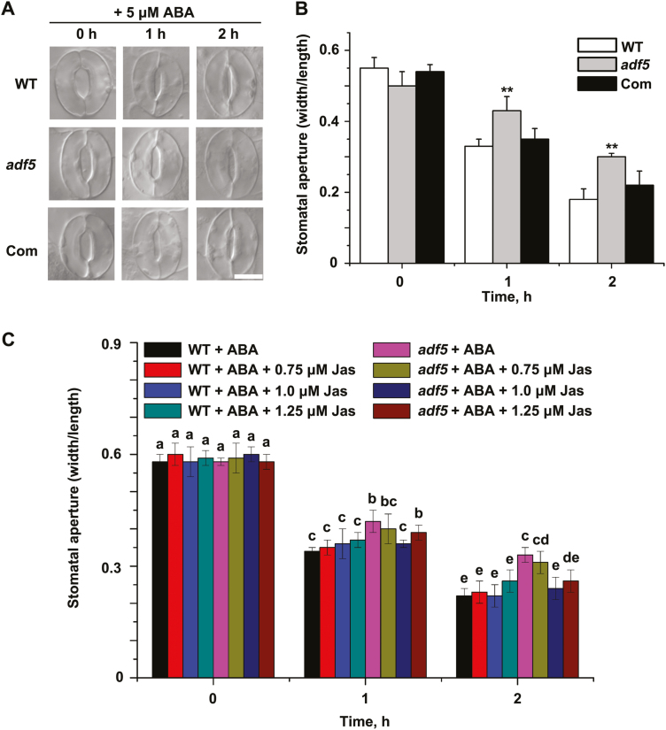 Fig. 3.