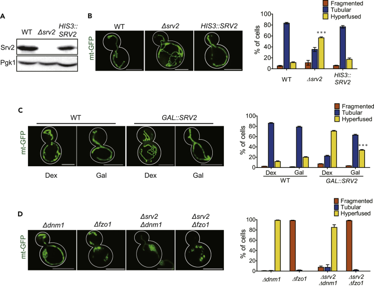 Figure 2