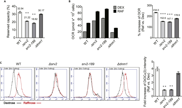 Figure 6