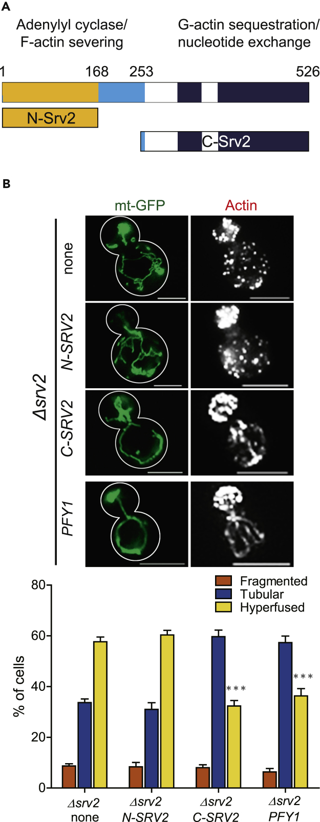 Figure 4