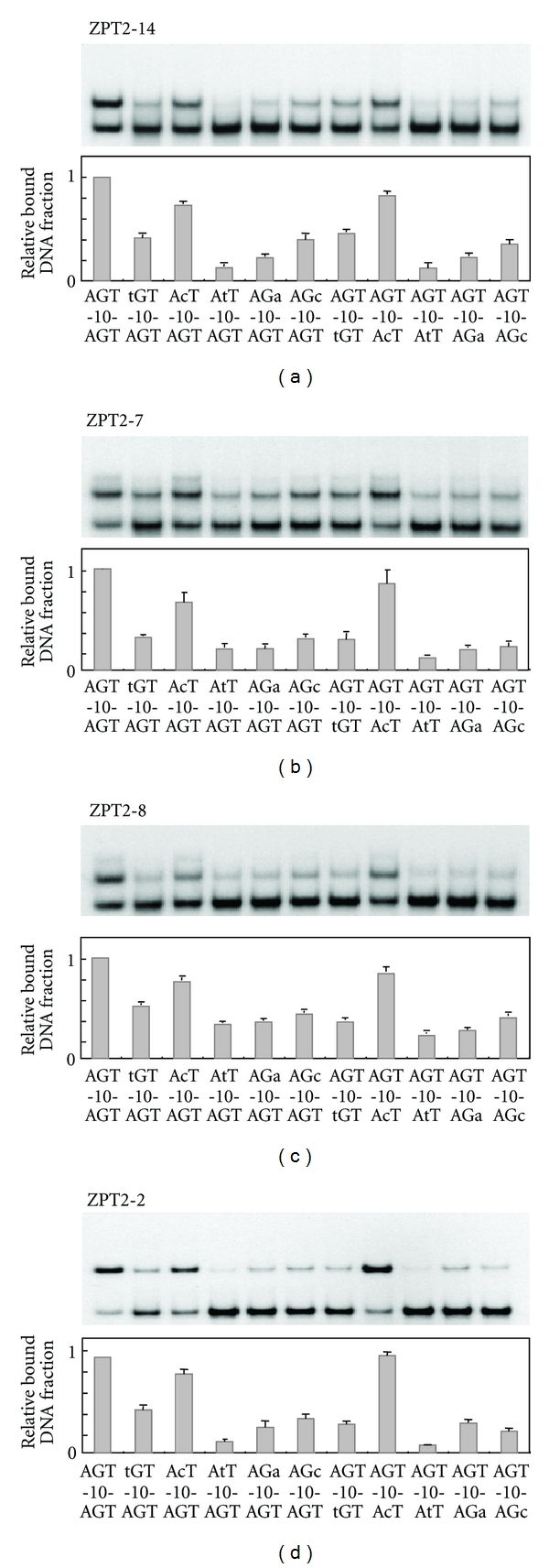 Figure 4