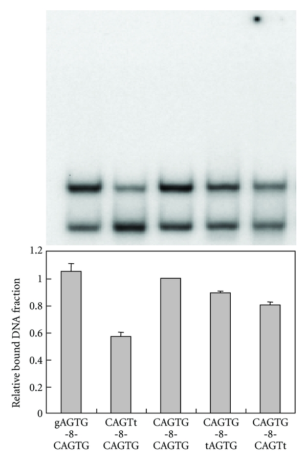 Figure 5