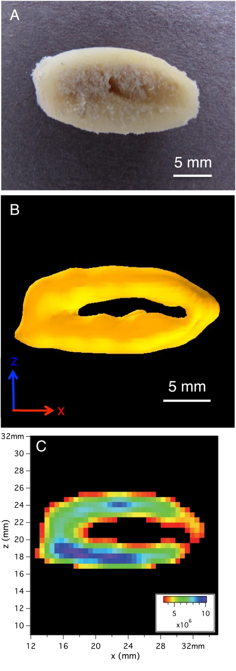 Fig. 3.