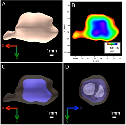 Fig. 5.