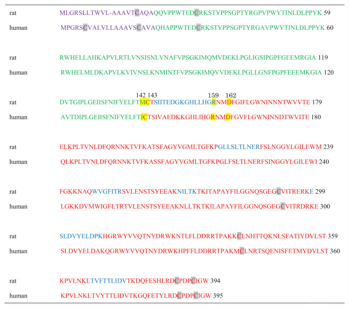 graphic file with name ijms-21-08789-i001.jpg