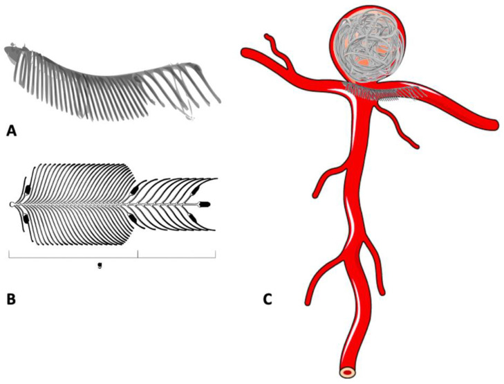 Figure 9